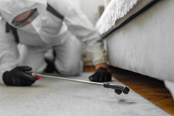 Professional Termite Control technician working in Lakeview, OR