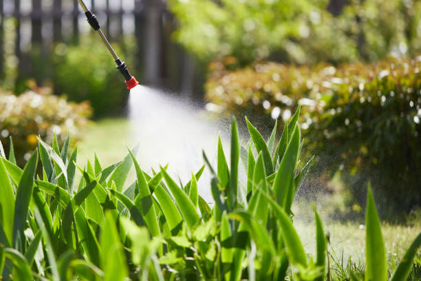 24/7 Emergency Termite Control experts in Lakeview, OR