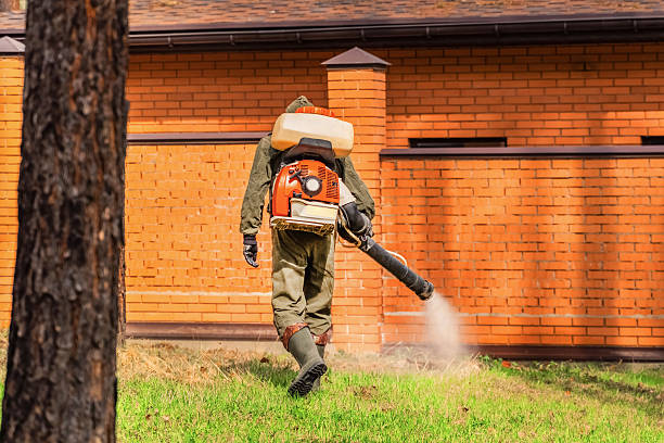 Top rated local Termite Control specialists in Lakeview, OR